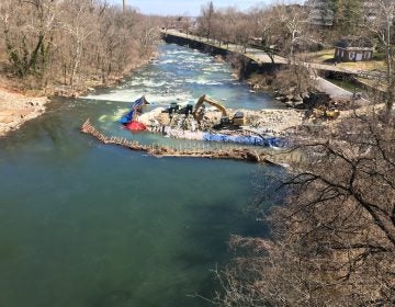 Crews in the middle of the Brandywine River work to remove a 115-year-old dam that was built to allow Wilmington water pipes to cross the river. (Mark Eichmann/WHYY)