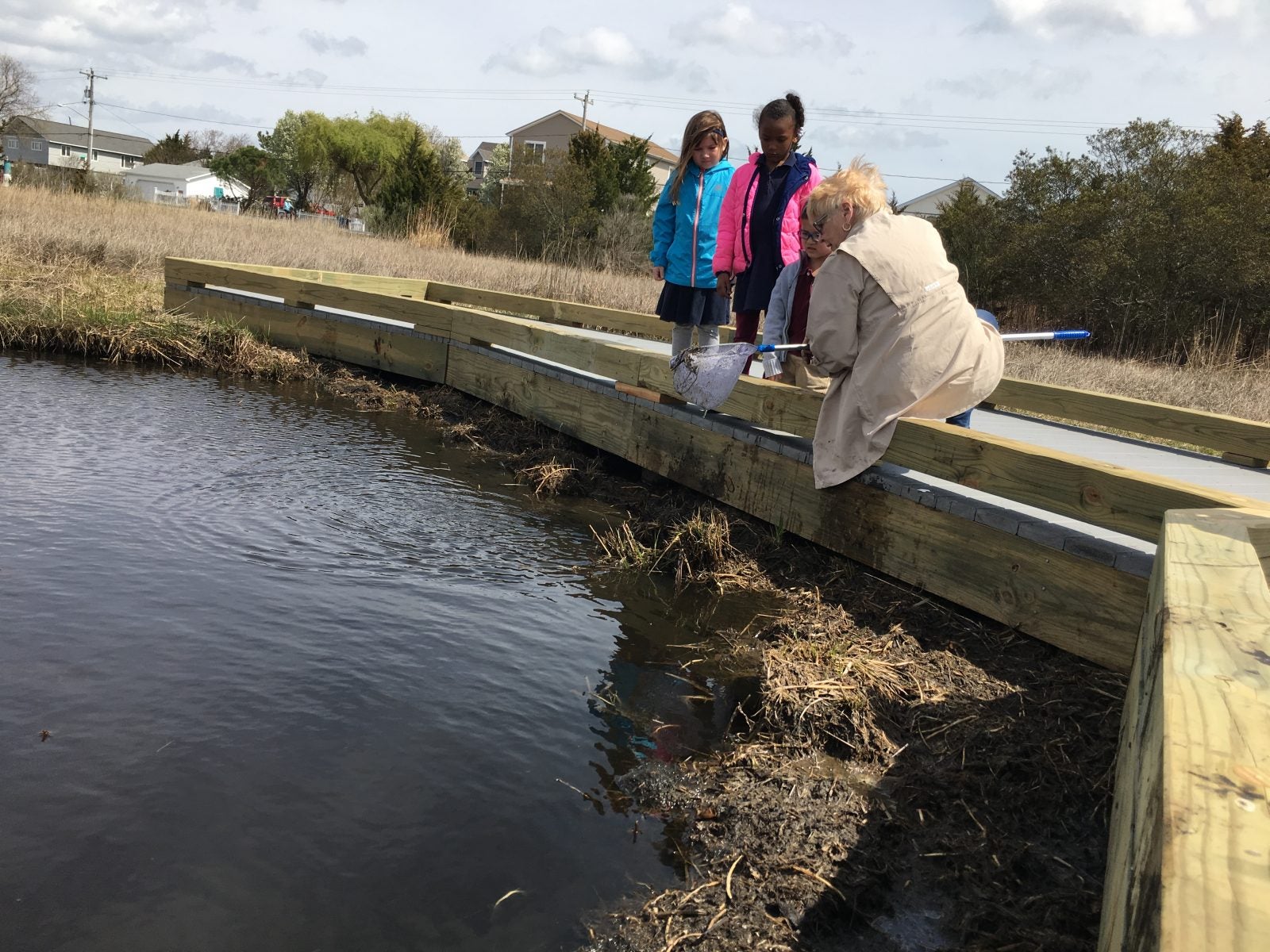 Slaughter Beach boardwalk offers look at Delaware Bay ecology WHYY