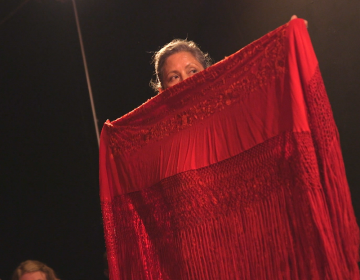 Elba Hevia y Vaca, artistic director of Pasión y Arte Flamenco, previews her new show, “La Bolivianita