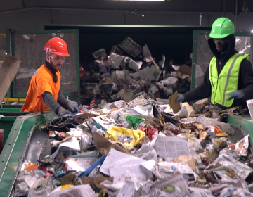 Recycling at J.P. Mascaro & Sons in Birdsboro, Pa. (Kimberly Paynter/WHYY)