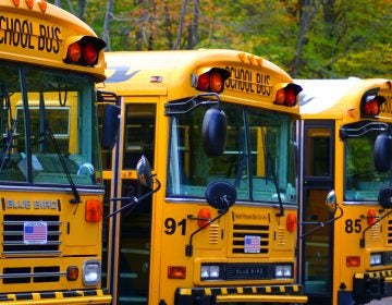 School buses are seen in a file photo.