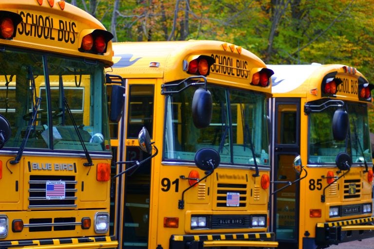 Pennsylvania School Bus