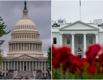 Left: Capitol Building (AP Photo/J. Scott Applewhite)
Right: The White House (AP Photo/Andrew Harnik)