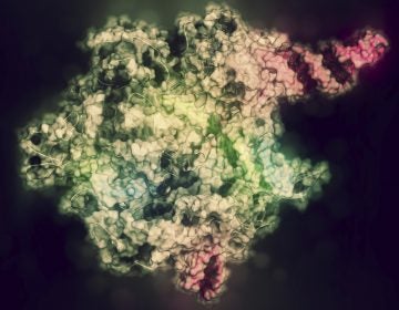 CRISPR gene-editing technology allows scientists to make highly precise modifications to DNA. The technology is now starting to be used in human trials to treat several diseases in the U.S.
(Molekuul/Getty Images/Science Photo Library)