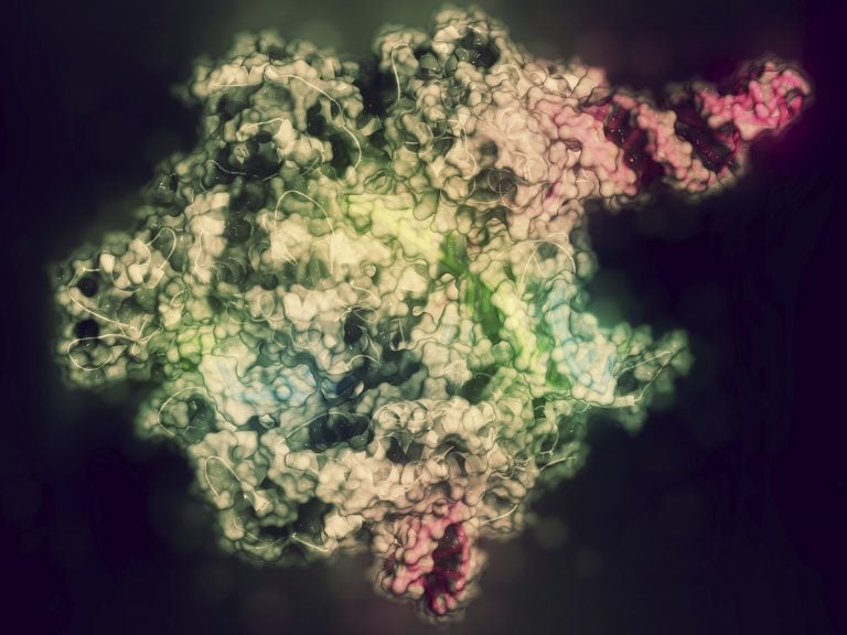 CRISPR gene-editing technology allows scientists to make highly precise modifications to DNA. The technology is now starting to be used in human trials to treat several diseases in the U.S. CRISPR gene-editing technology allows scientists to make highly precise modifications to DNA. The technology is now starting to be used in human trials to treat several diseases in the U.S.
(Molekuul/Getty Images/Science Photo Library)
