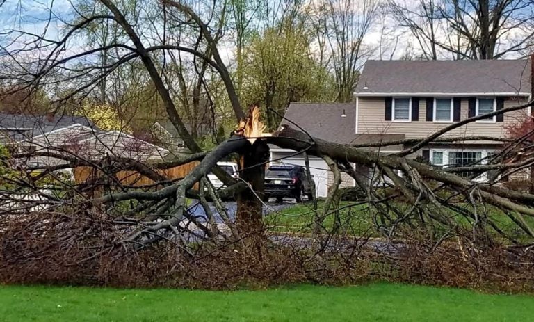 A snapped tree in East Windsor, NJ Monday morning. (Image courtesy of Mary Keysper via JSHN/Facebook)