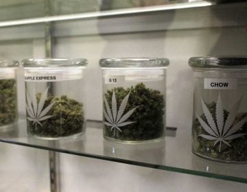 The number of medical marijuana patients has more than doubled in the last year. (Brennan Linsley/AP Photo)