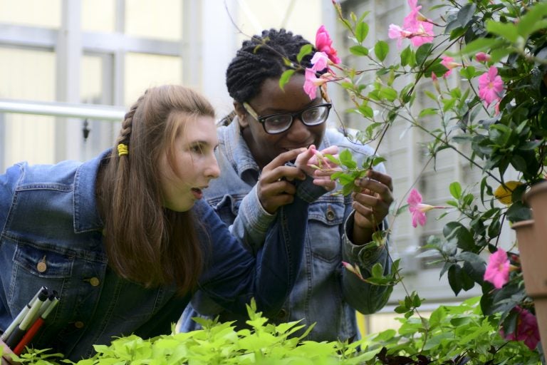 Ashlee Preston, 19, and Shamirah Brown, 18, explore plants at the new horticulture center for students who are blind, visually impaired or have other disabilities at the Overbrook School of the Blind, on Tuesday. (Bastiaan Slabbers for WHYY)