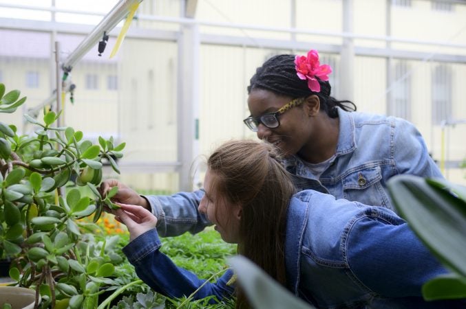 Ashlee Preston, 19 and Shamirah Brown, 18 explore plants at the new horticulture center for students who are blind, visually impaired or have other disabilities at the Overbrook School of the Blind, on Tuesday. (Bastiaan Slabbers for WHYY)