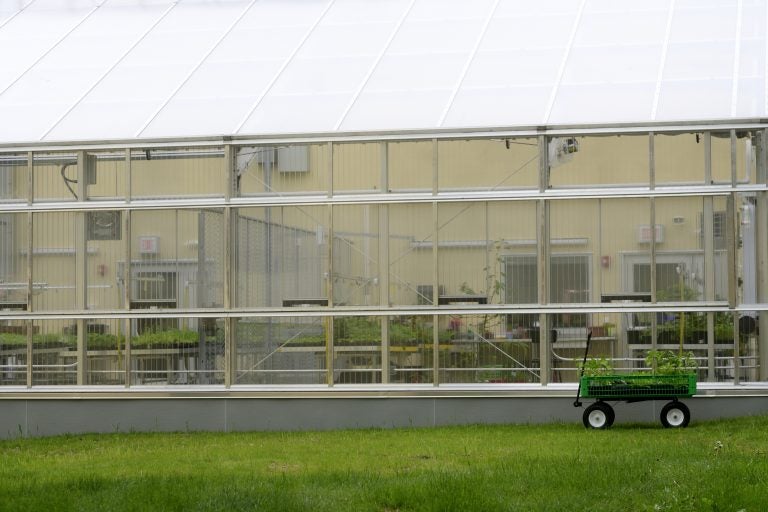 Overbrook School For The Blind Gets New Horticultural Center WHYY