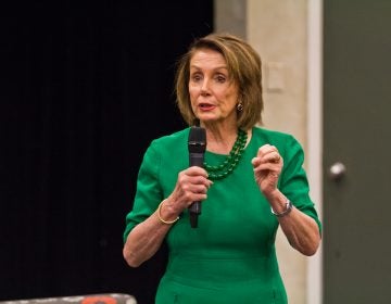 Speaker of the House Nancy Pelosi speaks at an education forum at Delaware Valley Community College Friday morning. (Kimberly Paynter/WHYY)