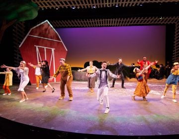 Delaware Theatre Company's 2019 production of “Honk! The Ugly Duckling Musical.” (Courtesy of Matt Urban)