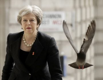 A pigeon takes off as Britain's Prime Minister Theresa May arrives to attend a Memorial Service to commemorate the 25th anniversary of the murder of black teenager Stephen Lawrence at St Martin-in-the-Fields church in London, Monday, April 23, 2018. (Matt Dunham/AP Photo)