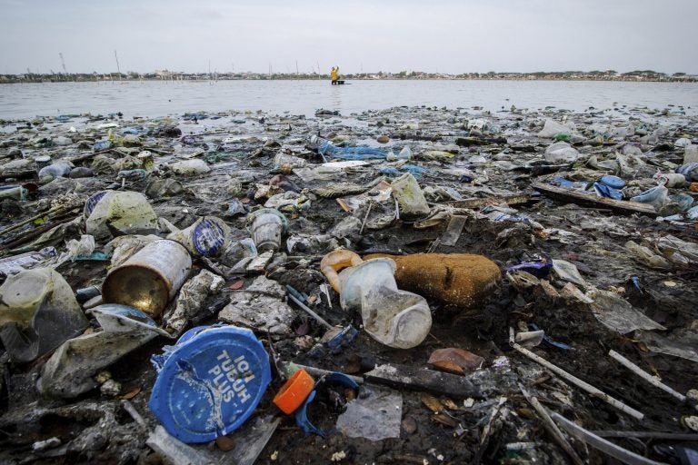 The Story of the World's Largest Floating Plastic Island (and What to Do  With It)