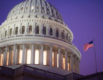 The dome of the Capitol is seen at sunrise in Washington, Thursday, April 18, 2019. (Cliff Owen/AP Photo)