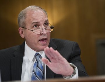 In a Thursday, April 4, 2019 file photo, former U.S. Border Patrol Chief Mark Morgan testifies before the Senate Homeland Security and Governmental Affairs Committee on Capitol Hill in Washington. President Donald Trump is tapping  former border patrol chief Morgan to lead Immigration and Customs Enforcement. Trump tweeted Sunday, May 5, 2019 that Mark Morgan 