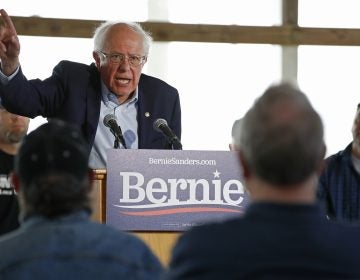 U.S. Democratic Presidential candidate Bernie Sanders speaks at a campaign event in Osage, Iowa, May 5, 2019. (Jim Young/Sipa USA(Sipa via AP Images)