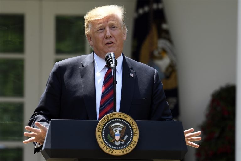 President Donald Trump speaks on immigration in the Rose Garden at the White House in Washington, Thursday, May 16, 2019. (Susan Walsh/AP Photo)