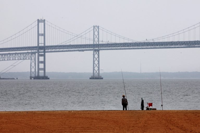 For an annual report card evaluating the 200-mile-long bay, researchers at the University of Maryland Center for Environmental Science on Tuesday, May 21, 2019 gave the Chesapeake a grade of 46% for 2018, down from 54% in 2017. All of the indicators factored into the bay's health index declined or stayed flat last year. (Jacquelyn Martin/AP Photo)