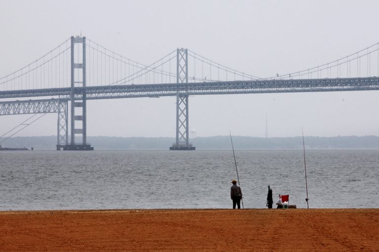 People fish on the shore of the Chesapeake Bay, with a bridge visible in the background.
