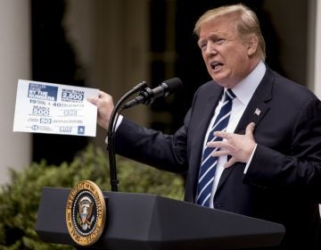 President Donald Trump holds up a stat sheet having to do with the Mueller Report as he speaks in the Rose Garden at the White House in Washington, Wednesday, May 22, 2019. (Andrew Harnik/AP Photo)
