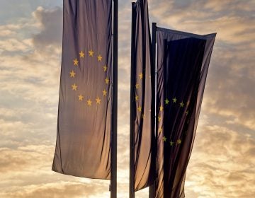 European flags blow in front of the European Central Bank as the sun rises in Frankfurt, Germany, Sunday, May 26, 2019. (Michael Probst/AP Photo)