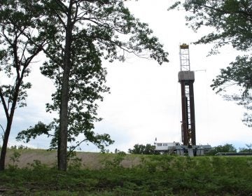 A drill rig in the Tiadaghton State Forest (Marie Cusick/StateImpact Pennsylvania)
