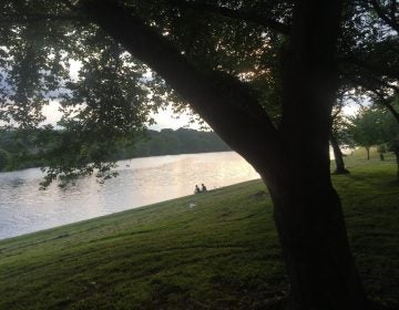 The Schuylkill river at dusk in Philadelphia. The river is a popular fishing spot. In 2018, the New Jersey DEP began testing fish for the family of chemicals known as PFAS and issued fish advisories. New Jersey has stricter limits on PFAS exposure than Pennsylvania. (Susan Phillips/StateImpact Pennsylvania)