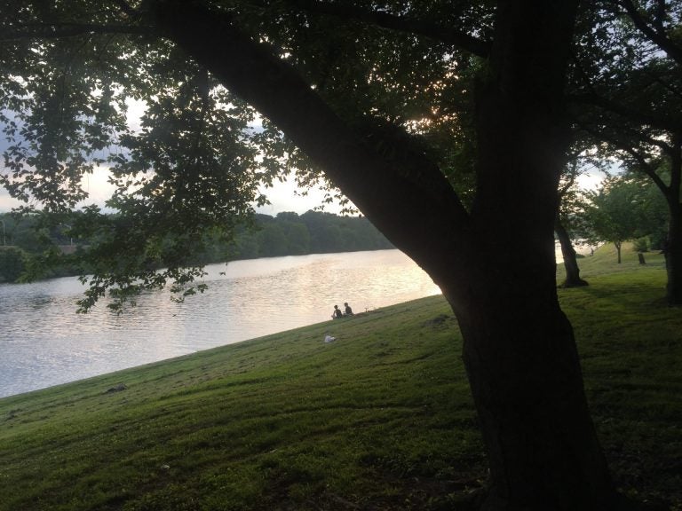 The Schuylkill river at dusk in Philadelphia. The river is a popular fishing spot. In 2018, the New Jersey DEP began testing fish for the family of chemicals known as PFAS and issued fish advisories. New Jersey has stricter limits on PFAS exposure than Pennsylvania. (Susan Phillips/StateImpact Pennsylvania)