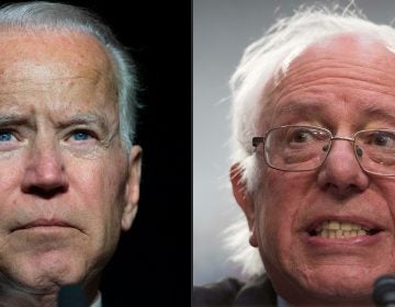 Former Vice President Joe Biden (left) and Sen. Bernie Sanders of Vermont are putting forward very different visions in the Democratic presidential primary. (Saul Loeb/AFP/Getty Images)