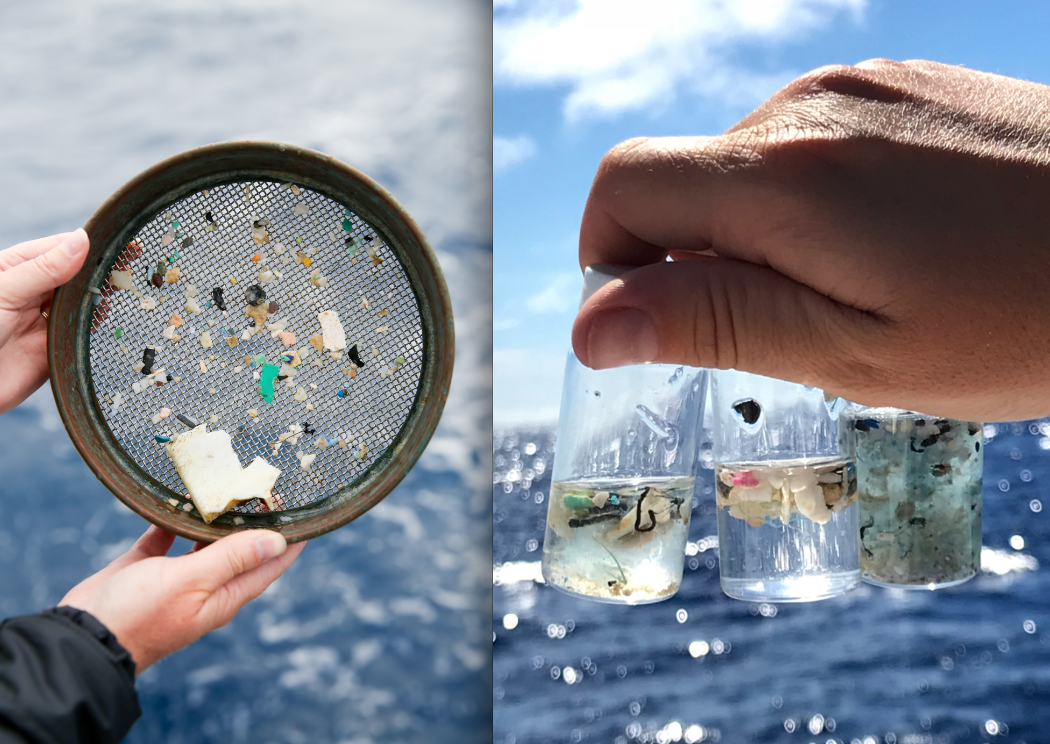 https://whyy.org/wp-content/uploads/2019/05/microplastic-samples.png