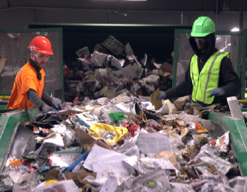 Recycling at J.P. Mascaro & Sons in Birdsboro, Pa. (Kimberly Paynter/WHYY)