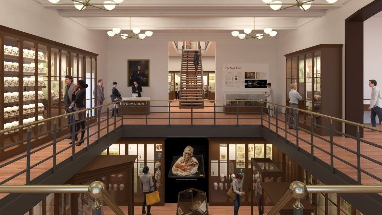 The Mütter Museum is getting a remodel. (Renderings courtesy of KieranTimberlake)