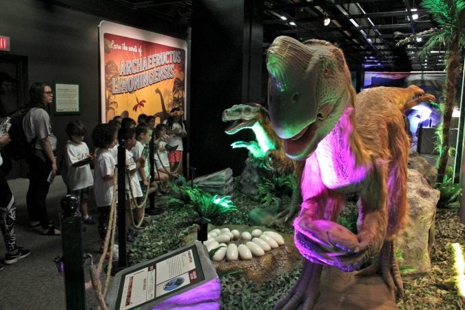 academy of science dinosaur exhibit