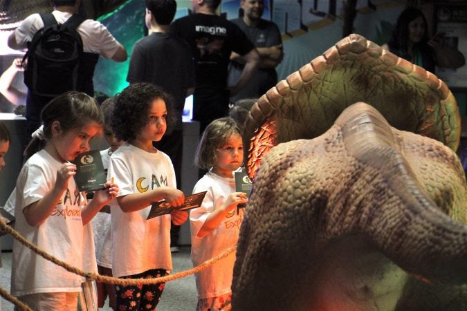 Children from Bright Horizons daycare at St. Mary Medical Center study an animatronic  protoceratops at the Academy of Natural Sciences. (Emma Lee