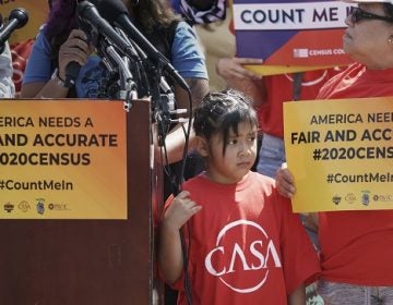 Immigration activists rally outside the Supreme Court as justices hear arguments over the Trump administration's plan to ask about citizenship on the 2020 census. (J. Scott Applewhite/AP Photo)