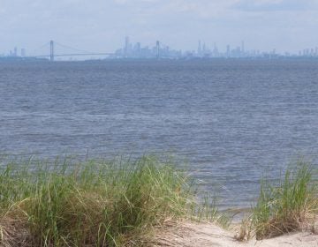 In this June 3, 2019 photo the New York City skyline is in the background of the Raritan Bay as seen from Middletown, N.J.  New Jersey environmental officials are due to decide Wednesday, June 5 on key permits for a nearly $1 billion pipeline that would bring natural gas from Pennsylvania through New Jersey, out into Raritan Bay and into the ocean before reaching New York and Long Island. (Wayne Parry/AP Photo)