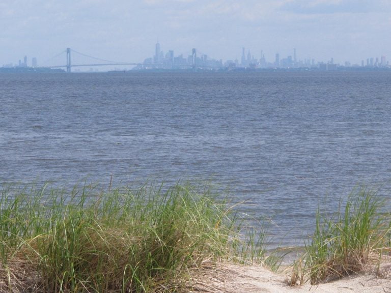 In this June 3, 2019 photo the New York City skyline is in the background of the Raritan Bay as seen from Middletown, N.J.  New Jersey environmental officials are due to decide Wednesday, June 5 on key permits for a nearly $1 billion pipeline that would bring natural gas from Pennsylvania through New Jersey, out into Raritan Bay and into the ocean before reaching New York and Long Island. (Wayne Parry/AP Photo)