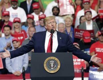 President Donald Trump speaks to supporters where he formally announced his 2020 re-election bid Tuesday, June 18, 2019, in Orlando, Fla. (John Raoux/AP Photo)