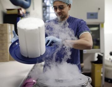 A scientist opens the lid of a cryotank containing donor sperm samples in an IVF clinic