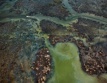 In Nigeria's oil-rich Niger Delta, oil bunkering — the practice of siphoning oil from pipelines — has transformed parts of the once-thriving delta ecosystem into an ecological dead zone, according to the U.N. Environment Programme.
(Edward Burtynsky, courtesy Robert Koch Gallery, San Francisco / Nicholas Metivier Gallery, Toronto)
