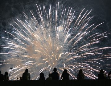 Even birds who are accustomed to urban noises can be spooked by the boom of fireworks, take off and crash into trees, cars and buildings. (Craig Ruttle/AP Photo)