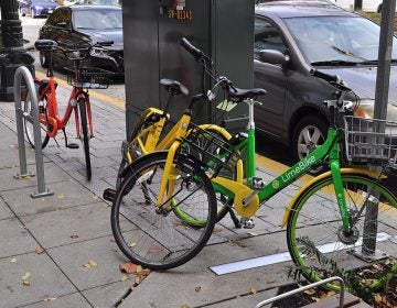 The city plans to distribute only two licenses and each business will be limited to 1,200 bikes. (Joe Mabel/PlanPhilly)