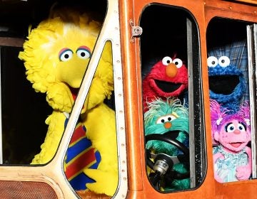 Sesame Street's Big Bird, Elmo, Cookie Monster, and Abby Cadabby attend HBO Premiere of Sesame Street's The Magical Wand Chase at the Metrograph in 2017 in New York City.
(Slaven Vlasic/Getty Images)