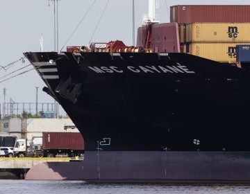 The MSC Gayane is moored at the Packer Marine Terminal in Philadelphia, Monday, June 24, 2019. Detention hearings are scheduled Monday in Philadelphia for six crew members of the Swiss-owned container ship following the seizure of more than 35,000 pounds, or more than 15,800 kilograms, of cocaine. (Matt Rourke/AP Photo)