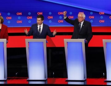 Sen. Amy Klobuchar, D-Minn., from left, South Bend Mayor Pete Buttigieg, Sen. Bernie Sanders, I-Vt., and Sen. Elizabeth Warren, D-Mass., participate in the first of two Democratic presidential primary debates hosted by CNN Tuesday, July 30, 2019, in the Fox Theatre in Detroit. (AP Photo/Paul Sancya)