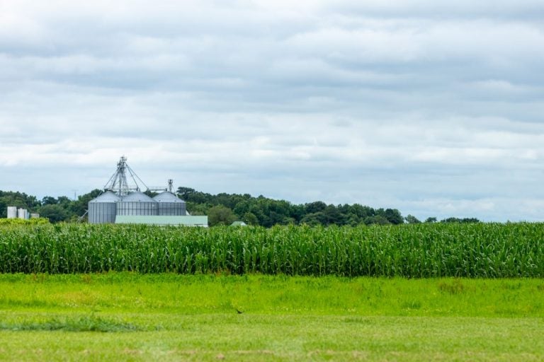 T.S. Smith & Sons farm in Bridgeville, Delaware is one of nearly 1,000 farms preserved from development throughout the state. (Courtesy of the Delaware Department of Agriculture)