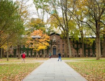 Princeton University