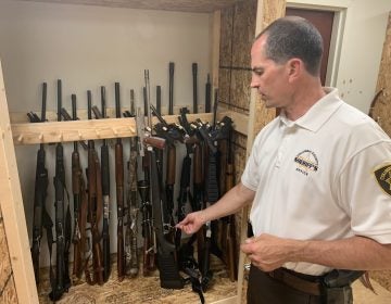 The Columbia County Sheriff's Department weapons storage facility is at 75 percent capacity of its weapons storage, according to Sheriff Timothy Chamberlain. Columbia and other rural counties tend to take multiple guns -- often dozens -- from defendants ordered to relinquish their weapons as part of protection from abuse orders. (Emily Previti/PA Post) 