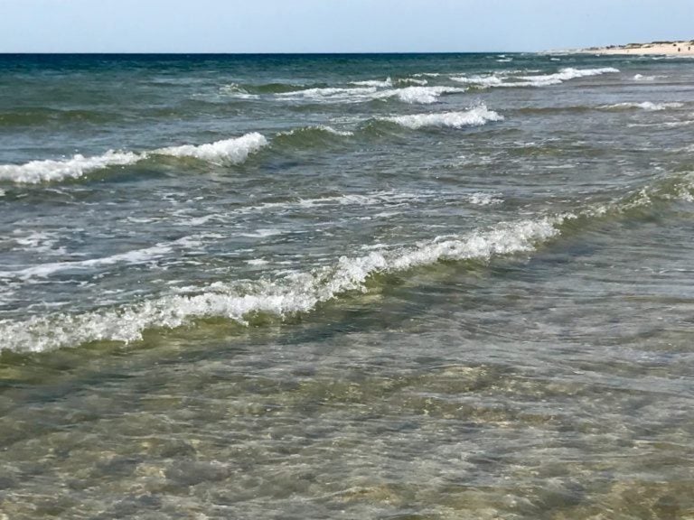 Nj Shore Tide Chart